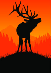 A vector silhouette of a large bull elk bugling.