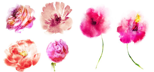 Watercolor flowers , isolated on white background