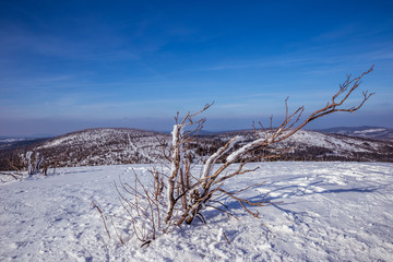 bavarian forest lusen view