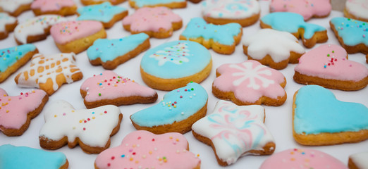 sweet home made cookies for holidays desert