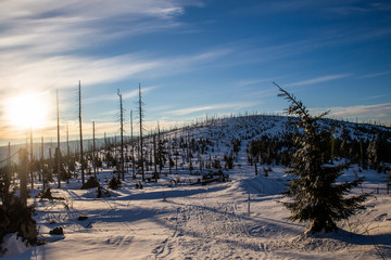 sun above bavarian forest in winter
