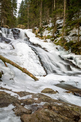 Fototapeta na wymiar wild forest river in winter