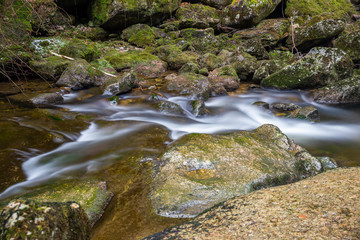 Naklejka na ściany i meble stream in forest over mossy stones