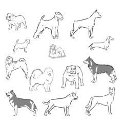 set of dog, vector sketch illustration 