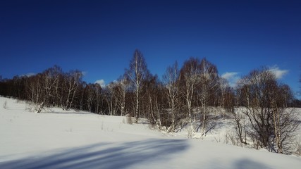winter mountain landscape with trees and snow