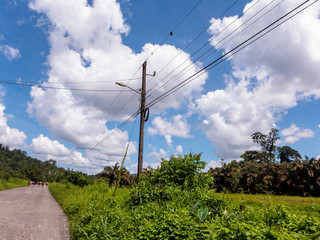 Obraz premium Stromleitungen, Überlandleitungen im Norden von Costa Rica bei Boca Tapada.