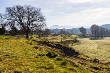 Fototapeta premium Winter landscapes in the Osona region