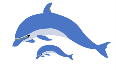 Dolphin mother and baby dolphin vector White background..