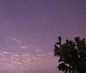 Joshua Tree National Park 