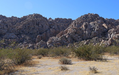 Joshua Tree National Park 