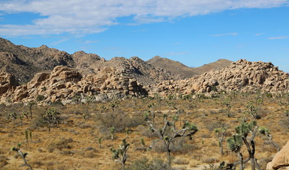 Joshua Tree National Park 