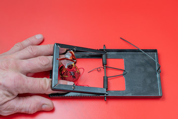 A grown man's hand was caught in a mousetrap