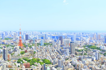 Fototapeta na wymiar Metropolitan area, Attractions, Tokyo Tower