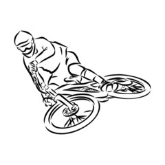 vector illustration of a mountain biker 