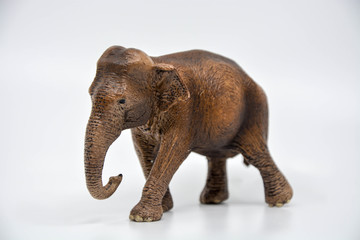 Obraz premium elephant isolated on white background