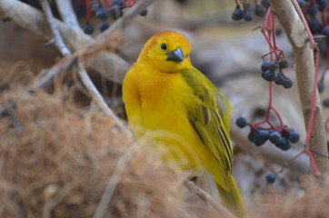 Vogel Zoo AUgsburg