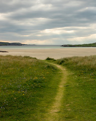 landscape with grass, beach, sea and sky