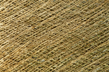 detail of fibre from palm tree