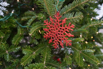 christmas tree branches