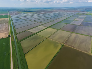 Flooded rice paddies. Agronomic methods of growing rice in the f