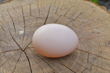 chicken egg on a wooden surface.natural products from the village