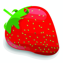 strawberry on white background.