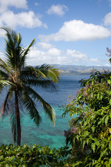 Obraz premium Beautiful seascape with palms on tropical island 