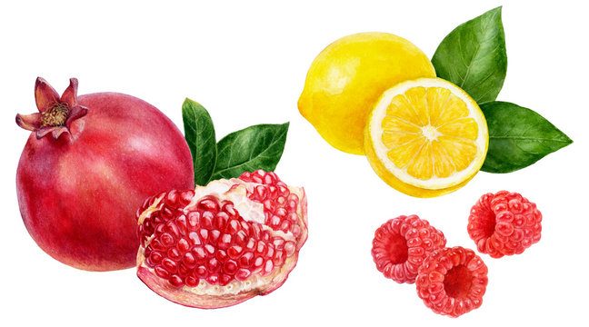 Pomegranate lemon raspberry set composition watercolor isolated on white background