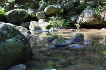 Górski potok kamienie i woda