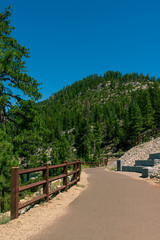Fototapeta premium Park paths