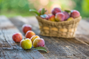 Sweet plums on wooden background