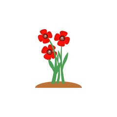 Summer and spring blossom forest and garden red flowers isolated on white background. Nature springtime flower. Vector illustration