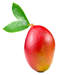 .mango with leaves on a white background