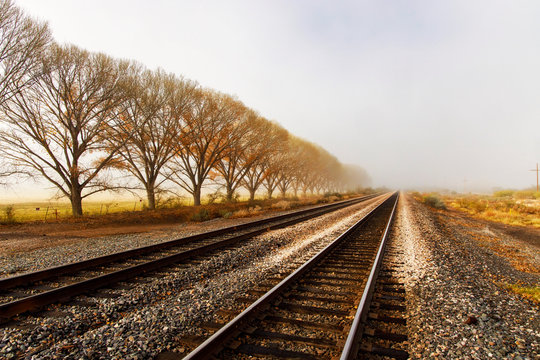 Row of Trees Along Railroad Tracks on a Foggy Morning in Benson, Arizona