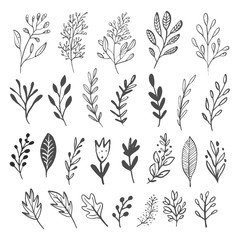 Vector Collection of Hand Drawn Flowers.Hand drawn monochrome flowers.