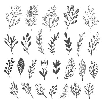 Vector Collection of Hand Drawn Flowers.Hand drawn monochrome flowers.