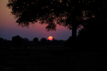 Sunset in Mana Pools National Park, Zimbabwe