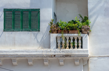 Window with green closed shutters and balcony with potted plants in white stone wall in Sliema, Malta. Authentic Maltese urban scene.