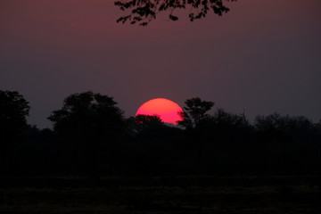 Sunset in Mana Pools National Park, Zimbabwe
