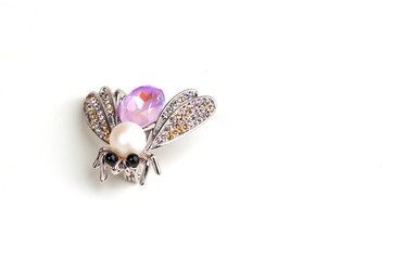 fly on white background