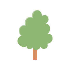 botanical foliage nature tree icon