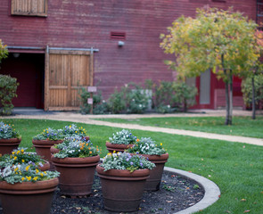 Fototapeta na wymiar flower garden against barn wall