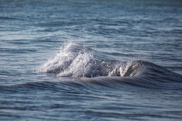 Obraz premium waves splashing