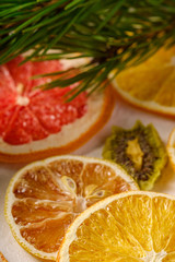 Creative holiday Christmas New Year food fruit texture with dried grapefruit, kiwi, orange and lemon with branch of fir tree, angle view, white background, macro and selective focus