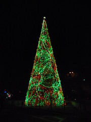 Christmas Tree Aragón