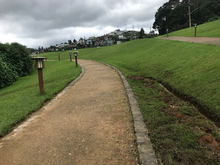 path way in the garden in Sri Lanka