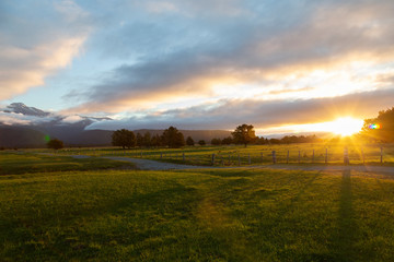 Obraz premium Farming and Harvest in New Zealand. Late afternoon. Fox Glacier New Zealand.