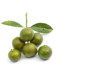Calamansi on isolated background