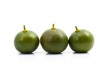 Calamansi lime on isolated background