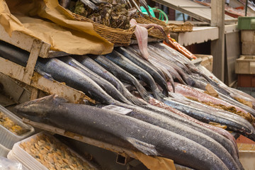 Fototapeta premium Close-up of fresh fish on display, like salmon and hake, at the local fish market of Caleta Angelmo, in Puerto Montt, Chile. Catch of the day on sale, carefully arranged